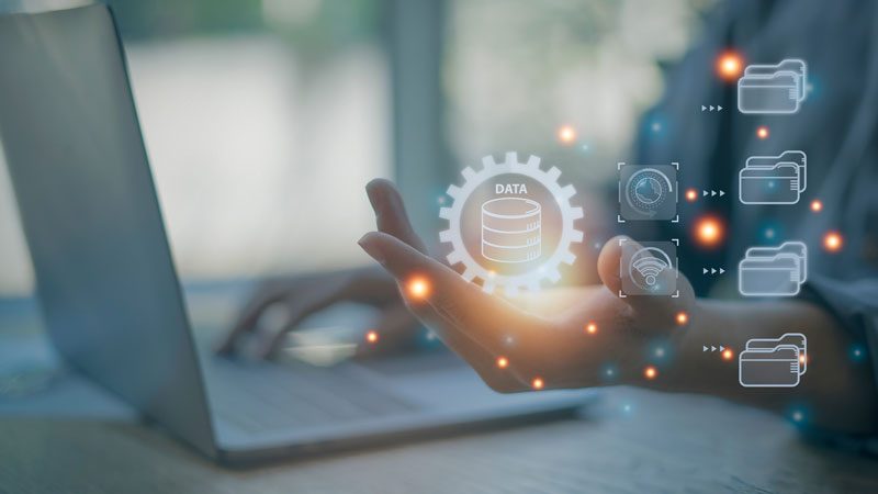 Database formation mongodb